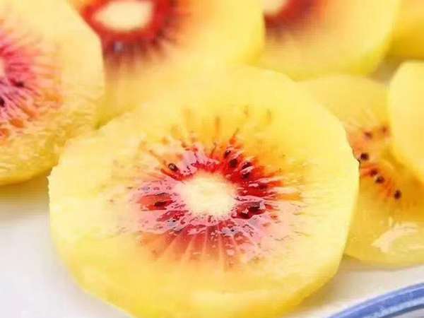 红心猕猴桃已上升为国际进口水果市场