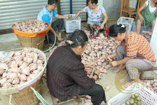 从红心猕猴桃批发零售团购价格是多少钱一斤成都