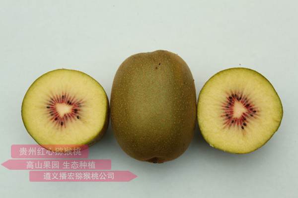 四川誉原鲜猕猴桃品牌创始人四川蒲江东红猕猴桃苗木繁育种植