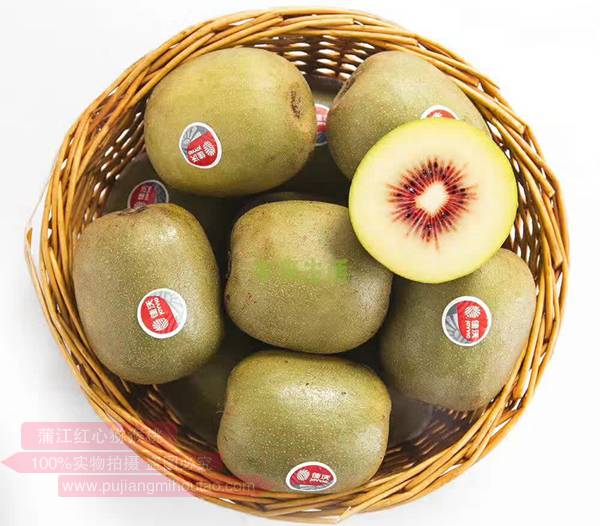 贵州猕猴桃呈现产销两旺的局面