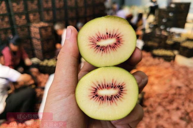 redkiwifruit猕猴桃