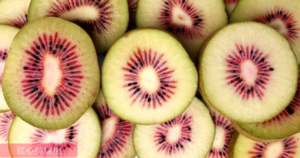 新上市的魅丽金果奇异果 营养价值可达到同重量苹果的8倍