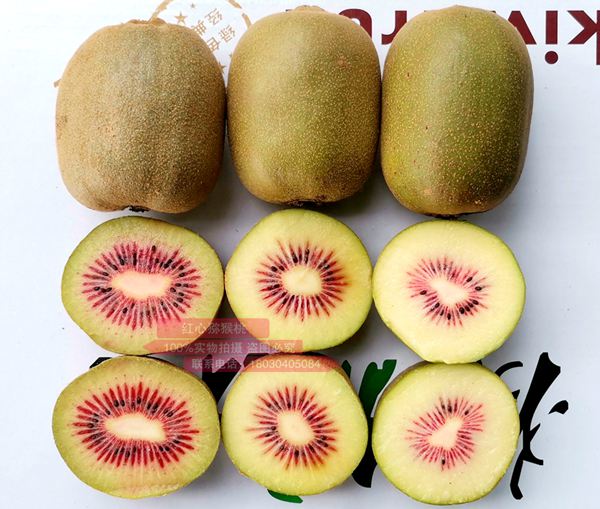新西兰进口的佳沛奇异果被誉为“大自然中最接近完美的水果”