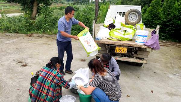 微博微信都来宣传湖南八旬老人种植的网红猕猴桃