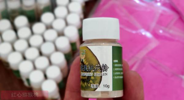 陕西周至猕猴桃种植协会会长金恒斌老师注册了“巧蜜蜂”花粉商标 陕西西安本地的猕猴桃花粉企业