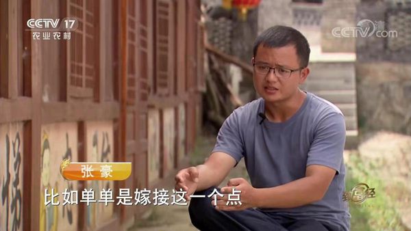云南睿树农业科技有限公司副董事长朱江介绍红心猕猴桃品种
