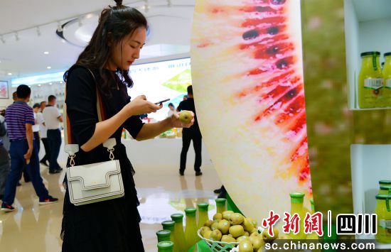 成都红心猕猴桃