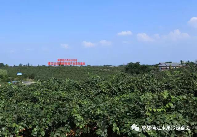 中科院武汉植物园