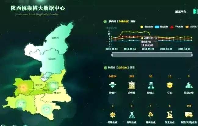 陕西眉县猕猴桃