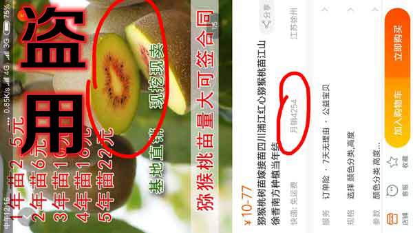 淘宝购买猕猴桃骗局