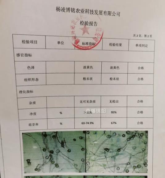 博铭猕猴桃花粉检测报告