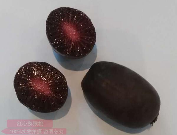 软枣猕猴桃