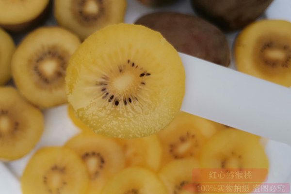 新西兰阳光金果g3猕猴桃已经黄金奇异果的位置
