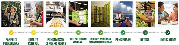 佳沛奇异果 把一个猕猴桃卖到10元,万字深度解析新西兰Zespri佳沛品牌百年故事