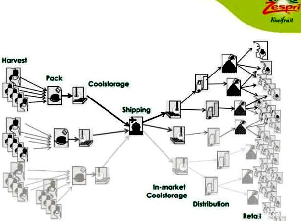 佳沛奇异果 把一个猕猴桃卖到10元,万字深度解析新西兰Zespri佳沛品牌百年故事