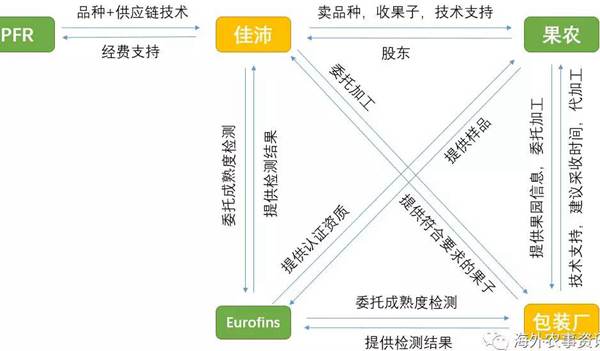 佳沛奇异果 把一个猕猴桃卖到10元,万字深度解析新西兰Zespri佳沛品牌百年故事