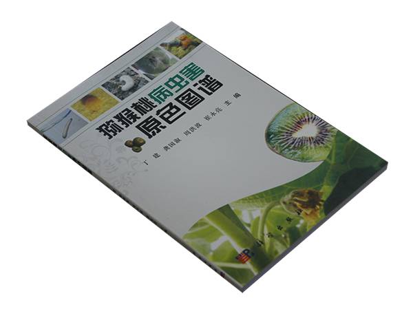 四川农业大学龚国淑