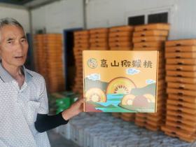 平原红——红阳猕猴桃自然授粉实生后代