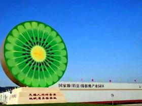 陕西眉县猕猴桃加大宣传营销 打造百年品牌