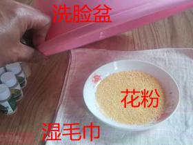 猕猴桃吸潮又称醒粉是一个关键的步骤