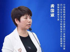 猕猴桃溃疡病即将进入高发期,怎样防治?四川农业大学龚国淑教授给出了答案